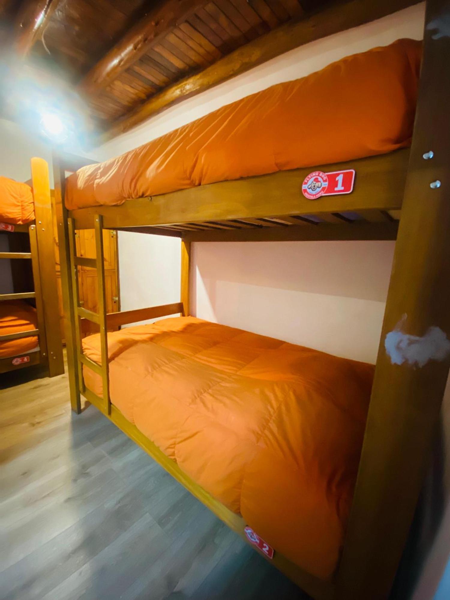Flying Dog Hostel Куско Экстерьер фото